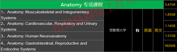 解剖学